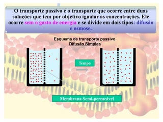 O transporte passivo é o transporte que ocorre entre duas
soluções que tem por objetivo igualar as concentrações. Ele
ocorre sem o gasto de energia e se divide em dois tipos: difusão
e osmose.
Esquema de transporte passivo
Difusão Simples
Membrana Semi-permeável
Tempo
 