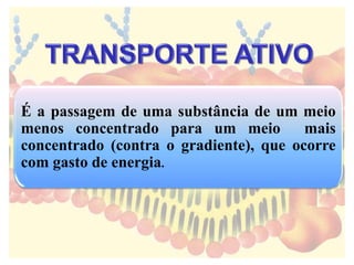 É a passagem de uma substância de um meio
menos concentrado para um meio mais
concentrado (contra o gradiente), que ocorre
com gasto de energia.
 