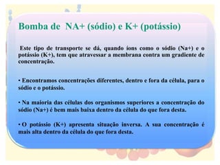 Bomba de NA+ (sódio) e K+ (potássio)
Este tipo de transporte se dá, quando íons como o sódio (Na+) e o
potássio (K+), tem que atravessar a membrana contra um gradiente de
concentração.
• Encontramos concentrações diferentes, dentro e fora da célula, para o
sódio e o potássio.
• Na maioria das células dos organismos superiores a concentração do
sódio (Na+) é bem mais baixa dentro da célula do que fora desta.
• O potássio (K+) apresenta situação inversa. A sua concentração é
mais alta dentro da célula do que fora desta.
 