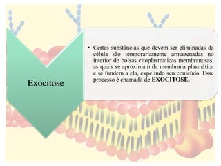Exocitose
• Certas substâncias que devem ser eliminadas da
célula são temporariamente armazenadas no
interior de bolsas citoplasmáticas membranosas,
as quais se aproximam da membrana plasmática
e se fundem a ela, expelindo seu conteúdo. Esse
processo é chamado de EXOCITOSE.
 