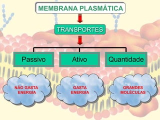 NÃO GASTA
ENERGIA
GRANDES
MOLÉCULAS
GASTA
ENERGIA
TRANSPORTES
Passivo Ativo Quantidade
MEMBRANA PLASMÁTICA
 