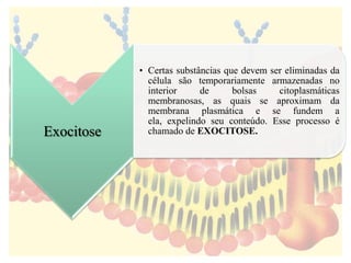 Exocitose
• Certas substâncias que devem ser eliminadas da
célula são temporariamente armazenadas no
interior de bolsas citoplasmáticas
membranosas, as quais se aproximam da
membrana plasmática e se fundem a
ela, expelindo seu conteúdo. Esse processo é
chamado de EXOCITOSE.
 