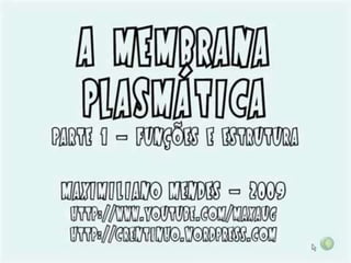 Membrana plasmática slides COMPLETO