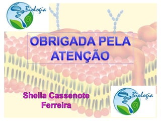Membrana plasmática slides COMPLETO