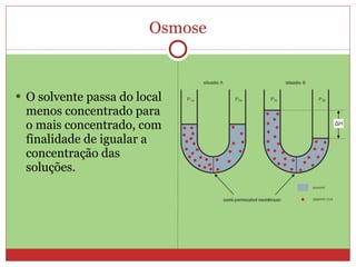 Osmose



 O solvente passa do local
 menos concentrado para
 o mais concentrado, com
 finalidade de igualar a
 concentração das
 soluções.
 
