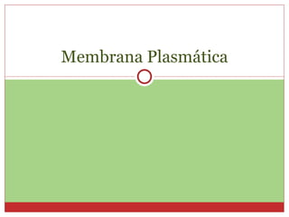 Membrana Plasmática
 