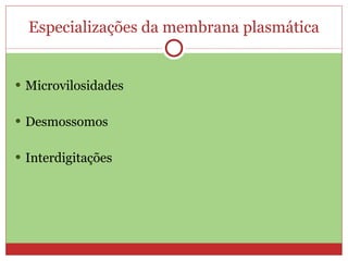Especializações da membrana plasmática Microvilosidades  Desmossomos Interdigitações 