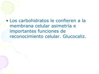 • Los carbohidratos le confieren a la
  membrana celular asimetría e
  importantes funciones de
  reconocimiento celular. Glucocaliz.
 