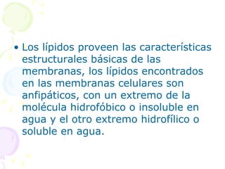 • Los lípidos proveen las características
  estructurales básicas de las
  membranas, los lípidos encontrados
  en las membranas celulares son
  anfipáticos, con un extremo de la
  molécula hidrofóbico o insoluble en
  agua y el otro extremo hidrofílico o
  soluble en agua.
 