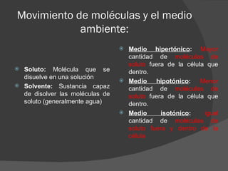 Movimiento de moléculas y el medio
            ambiente:
                                  Medio hipertónico: Mayor
                                   cantidad de moléculas de
                                   soluto fuera de la célula que
 Soluto: Molécula que se          dentro.
  disuelve en una solución        Medio    hipotónico: Menor
 Solvente: Sustancia capaz
                                   cantidad de moléculas de
  de disolver las moléculas de     soluto fuera de la célula que
  soluto (generalmente agua)       dentro.
                                  Medio      isotónico:    igual
                                   cantidad de moléculas de
                                   soluto fuera y dentro de la
                                   célula
 