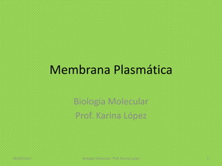 Membrana Plasmática
Biología Molecular
Prof. Karina López
08/05/2013 Biología Molecular- Prof. Karina López 1
 
