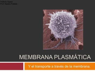 MEMBRANA PLASMÁTICA
Y el transporte a través de la membrana.
Instituto Ágape
Prof. Natalia Poblete
 