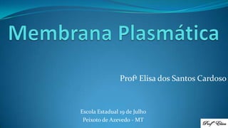 Profª Elisa dos Santos Cardoso
Escola Estadual 19 de Julho
Peixoto de Azevedo - MT
 