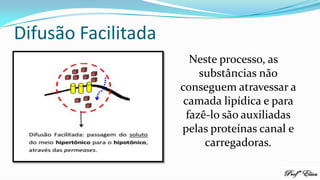 Difusão Facilitada
Neste processo, as
substâncias não
conseguem atravessar a
camada lipídica e para
fazê-lo são auxiliadas
pelas proteínas canal e
carregadoras.
 