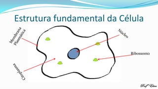 Estrutura fundamental da Célula
Ribossomo
 