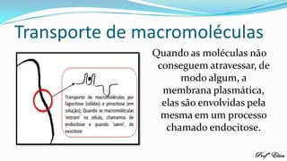 Transporte de macromoléculas
Quando as moléculas não
conseguem atravessar, de
modo algum, a
membrana plasmática,
elas são envolvidas pela
mesma em um processo
chamado endocitose.
 
