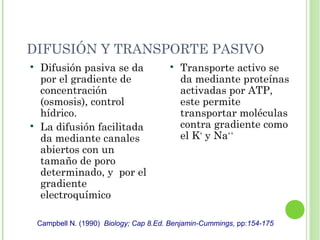 DIFUSIÓN Y TRANSPORTE PASIVO

Difusión pasiva se da
por el gradiente de
concentración
(osmosis), control
hídrico.

La difusión facilitada
da mediante canales
abiertos con un
tamaño de poro
determinado, y por el
gradiente
electroquímico

Transporte activo se
da mediante proteínas
activadas por ATP,
este permite
transportar moléculas
contra gradiente como
el K+
y Na+ +
Campbell N. (1990) Biology; Cap 8.Ed. Benjamin-Cummings, pp:154-175
 