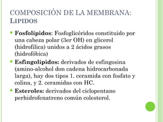 COMPOSICIÓN DE LA MEMBRANA:
LIPIDOS
 Fosfolípidos: Fosfoglicéridos constituido por
una cabeza polar (3er OH) en glicerol
(hidrofilica) unidos a 2 ácidos grasos
(hidrofóbica)
 Esfingolípidos: derivados de esfingosina
(amino-alcohol don cadena hidrocarbonada
larga), hay dos tipos 1. ceramida con fosfato y
colina, y 2. ceramidas con HC.
 Esteroles: derivados del ciclopentano
perhidrofenatreno común colesterol.
 