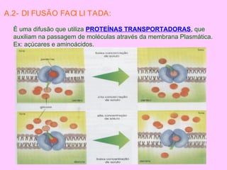 A.2- DI FUSÃO FACI LI TADA:
È uma difusão que utiliza PROTEÍNAS TRANSPORTADORAS, que
auxiliam na passagem de moléculas através da membrana Plasmática.
Ex: açúcares e aminoácidos.
 