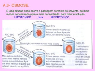 A.3- OSMOSE:
È uma difusão onde ocorre a passagem somente do solvente, do meio
menos concentrado para o mais concentrado, para diluir a solução.
HIPOTÔNICO para HIPERTÔNICO
 