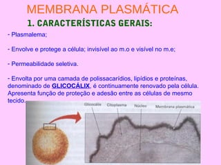 1. CARACTERÍSTICAS GERAIS:
- Plasmalema;
- Envolve e protege a célula; invisível ao m.o e visível no m.e;
- Permeabilidade seletiva.
- Envolta por uma camada de polissacarídios, lipídios e proteínas,
denominado de GLICOCÁLIX, é continuamente renovado pela célula.
Apresenta função de proteção e adesão entre as células de mesmo
tecido.
MEMBRANA PLASMÁTICA
 