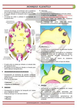 MEMBRANA PLASMÁTICA
BIOVEST10.BLOGSPOT.COM – O BLOG DA BIOLOGIA
4
consumo de energia, se combinam com a substância
de um lado da membrana e a soltam do outro lado.
- A energia utilizada no transporte ativo é proveniente
do ATP.
- A bomba de sódio e potássio é um exemplo de
transporte ativo.
- O sódio entra na célula por difusão e é retirado dela
por transporte ativo.
- O potássio sai da célula por difusão e é levado para
dentro dela por transporte ativo.
 TRANSPORTE EM MASSA OU EM BLOCO
- Corresponde ao transporte de grandes moléculas
orgânicas ou de outras partículas maiores através da
parede celular.
- Pode ser de dois tipos:
▪ Endocitose
▪ Exocitose ou clasmocitose
 Endocitose
- Corresponde ao processo de transporte em massa
para o interior da célula.
- Pode-se distinguir em dois tipos básicos:
▪ Fagocitose
▪ Pinocitose
▲ Fagocitose
- Corresponde ao englobamento de partículas sólidas.
- A célula emite pseudópodes - expansões citoplasmáticas
que abraçam a partícula sólida a ser englobada.
- Forma uma bolsa no interior do citoplasma
denominada de fagossomo.
- É realizada por vários tipos de células,
principalmente, protozoários e glóbulos brancos.
▲ Pinocitose
- Corresponde ao englobamento de partículas líquidas
e de pequenas partículas.
- A membrana plasmática aprofunda-se no citoplasma
e forma um canal que se estrangula nas bordas,
liberando pequenas vesículas membranosas no
interior da célula.
- Forma uma bolsa no interior do citoplasma
denominada de pinossomo.
- Ocorre em praticamente todos os tipos de células. .
 Exocitose
- Corresponde ao processo de transporte em massa
para o exterior da célula.
- As substâncias que serão eliminadas são
temporariamente armazenadas no interior de bolsas
citoplasmáticas membranosas.
- As bolsas citoplasmáticas aproximam-se da
membrana plasmática e fundem-se a ela, expelindo o
conteúdo.
 