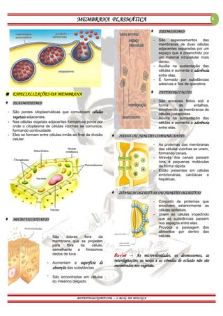 MEMBRANA PLASMÁTICA
BIOVEST10.BLOGSPOT.COM – O BLOG DA BIOLOGIA
5
 ESPECIALIZAÇÕES DA MEMBRANA
 PLASMODESMOS
- São pontes citoplasmáticas que comunicam células
vegetais adjacentes.
- Nas células vegetais adjacentes formam-se poros por
onde o citoplasma de células vizinhas se comunica,
formando continuidade.
- Eles se formam entre células-irmãs ao final da divisão
celular.
 MICROVILOSIDADES
- São dobras livre da
membrana que se projetam
para fora da célula,
semelhante a finíssimos
dedos de luva.
-
-
Aumentam a superfície de
absorção das substâncias.
São encontradas em células
do intestino delgado.
 DESMOSSOMOS
- São espessamentos das
membranas de duas células
adjacentes separadas por um
espaço que é preenchido por
um material intracelular mais
denso.
- Auxilia na sustentação das
células e aumenta a aderência
entre elas.
- É formado por substâncias
adesivas e fios de queratina.
 INTERDIGITAÇÕES
- São encaixes feitos sob a
forma de entalhes,
envolvendo as membranas de
células justapostas.
- Auxilia na sustentação das
células e aumenta a aderência
entre elas.
 NEXOS OU JUNÇÕES COMUNICANTES
- As proteínas das membranas
das células vizinhas se unem,
formando canais.
- Através dos canais passam
íons e pequenas moléculas
de forma rápida.
- Estão presentes em células
embrionárias, cardíacas e
hepáticas.
 ZÔNULAS OCLUSIVAS OU JUNÇÕES OCLUSIVAS
- Conjunto de proteínas que
envolvem exteriormente as
células epiteliais.
- Unem as células impedindo
que as substâncias passem
nos espaços entre elas.
Provoca a passagem dos
alimentos por dentro das
células.
Bio√est → As microvilosidades, os desmossomos, as
interdigitações, os nexos e as zônulas de oclusão não são
encontrados nos vegetais.
 