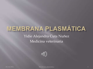 Yidie Alejandra Cuta Nuñez
Medicina veterinaria
29/10/2016 Membrana plasmatica 1
 