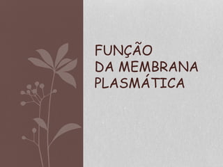 FUNÇÃO
DA MEMBRANA
PLASMÁTICA
 