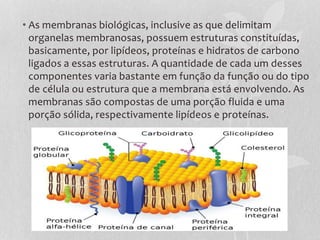 • As membranas biológicas, inclusive as que delimitam
organelas membranosas, possuem estruturas constituídas,
basicamente, por lipídeos, proteínas e hidratos de carbono
ligados a essas estruturas. A quantidade de cada um desses
componentes varia bastante em função da função ou do tipo
de célula ou estrutura que a membrana está envolvendo. As
membranas são compostas de uma porção fluida e uma
porção sólida, respectivamente lipídeos e proteínas.
 