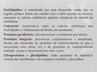 Fosfolipídios: é constituída por uma bicamada, sendo que as
regiões polares ficam em contato com o meio interno ou externo,
enquanto as cadeias carbônicas apolares situam-se no interior da
membrana.
Colesterol: localizam-se entre as cadeias carbônicas dos
fosfolipídios e influenciam na fluidez da membrana.
Proteínas periféricas: não atravessam a membrana por inteiro.
Proteínas integrais: atravessam completamente a membrana.
Destas são chamadas de proteínas de transmembrana as que a
atravessam uma única vez e de proteínas de transmembrana
múltipla as que a atravessam por mais vezes.
Glicoproteínas e glicolipídios: estão presentes na superfície
externa das membranas, seu conjunto constitui o glicocálice.
 