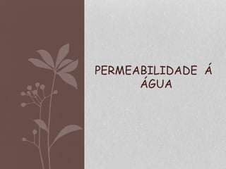 PERMEABILIDADE Á
ÁGUA
 
