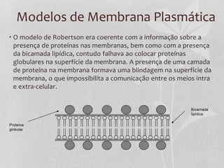 Modelos de Membrana Plasmática
• O modelo de Robertson era coerente com a informação sobre a
presença de proteínas nas membranas, bem como com a presença
da bicamada lipídica, contudo falhava ao colocar proteínas
globulares na superfície da membrana. A presença de uma camada
de proteína na membrana formava uma blindagem na superfície da
membrana, o que impossibilita a comunicação entre os meios intra
e extra-celular.
 