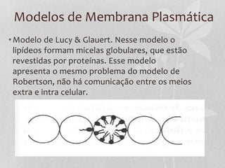 Modelos de Membrana Plasmática
•Modelo de Lucy & Glauert. Nesse modelo o
lipídeos formam micelas globulares, que estão
revestidas por proteínas. Esse modelo
apresenta o mesmo problema do modelo de
Robertson, não há comunicação entre os meios
extra e intra celular.
 