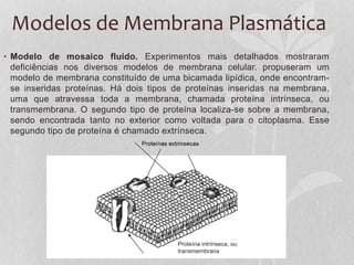 Modelos de Membrana Plasmática
• Modelo de mosaico fluido. Experimentos mais detalhados mostraram
deficiências nos diversos modelos de membrana celular. propuseram um
modelo de membrana constituído de uma bicamada lipídica, onde encontram-
se inseridas proteínas. Há dois tipos de proteínas inseridas na membrana,
uma que atravessa toda a membrana, chamada proteína intrínseca, ou
transmembrana. O segundo tipo de proteína localiza-se sobre a membrana,
sendo encontrada tanto no exterior como voltada para o citoplasma. Esse
segundo tipo de proteína é chamado extrínseca.
Proteína intrínseca, ou
transmembrana
 