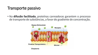 Transporte passivo
• Na difusão facilitada, proteínas carreadoras garantem o processo
de transporte de substâncias, a favor do gradiente de concentração.
 