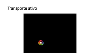 Transporte ativo
 