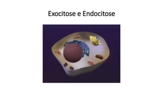 Exocitose e Endocitose
 