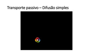 Transporte passivo – Difusão simples
 