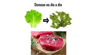 Osmose no dia a dia
 