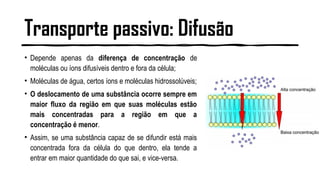 Transporte passivo: Difusão
• Depende apenas da diferença de concentração de
moléculas ou íons difusíveis dentro e fora da célula;
• Moléculas de água, certos íons e moléculas hidrossolúveis;
• O deslocamento de uma substância ocorre sempre em
maior fluxo da região em que suas moléculas estão
mais concentradas para a região em que a
concentração é menor.
• Assim, se uma substância capaz de se difundir está mais
concentrada fora da célula do que dentro, ela tende a
entrar em maior quantidade do que sai, e vice-versa.
 