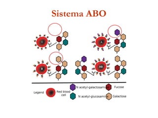 Sistema ABO
 
