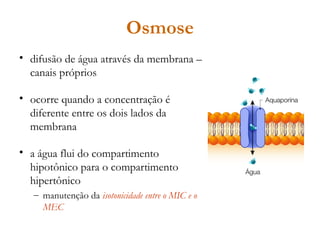 Osmose
• difusão de água através da membrana –
canais próprios
• ocorre quando a concentração é
diferente entre os dois lados da
membrana
• a água flui do compartimento
hipotônico para o compartimento
hipertônico
– manutenção da isotonicidade entre o MIC e o
MEC
 