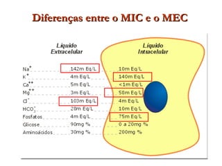 Diferenças entre o MIC e o MEC
Diferenças entre o MIC e o MEC
 