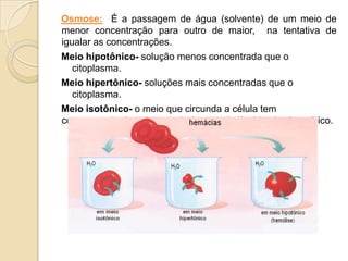 Osmose: É a passagem de água (solvente) de um meio de
menor concentração para outro de maior, na tentativa de
igualar as concentrações.
Meio hipotônico- solução menos concentrada que o
citoplasma.
Meio hipertônico- soluções mais concentradas que o
citoplasma.
Meio isotônico- o meio que circunda a célula tem
concentração do soluto equivalente a do líquido citoplasmático.
 