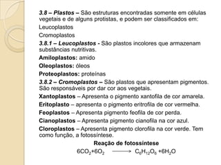 3.8 – Plastos – São estruturas encontradas somente em células
vegetais e de alguns protistas, e podem ser classificados em:
Leucoplastos
Cromoplastos
3.8.1 – Leucoplastos - São plastos incolores que armazenam
substâncias nutritivas.
Amiloplastos: amido
Oleoplastos: óleos
Proteoplastos: proteínas
3.8.2 – Cromoplastos – São plastos que apresentam pigmentos.
São responsáveis por dar cor aos vegetais.
Xantoplastos – Apresenta o pigmento xantofila de cor amarela.
Eritoplasto – apresenta o pigmento eritrofila de cor vermelha.
Feoplastos – Apresenta pigmento feofila de cor perda.
Cianoplastos – Apresenta pigmento cianofila na cor azul.
Cloroplastos – Apresenta pigmento clorofila na cor verde. Tem
como função, a fotossíntese.
Reação de fotossíntese
6CO2+6O2 C6H12O6 +6H2O
 
