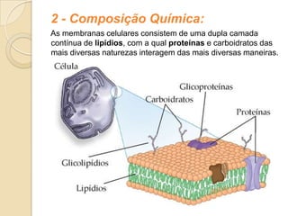 2 - Composição Química:
As membranas celulares consistem de uma dupla camada
contínua de lipídios, com a qual proteínas e carboidratos das
mais diversas naturezas interagem das mais diversas maneiras.
 