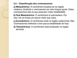 3.2 – Classificação dos cromossomos:
a) Metacêntrico: O centrômero localiza-se na região
mediana, dividindo o cromossomo em dois braços iguais. Estes
cromossomos são os que possuem maior estabilidade.
b) Sub Metacêntrico: O centrômero é submediano. Por
isso, há um braço um pouco maior que outro.
c) Acrocêntrico: O centrômero está na região subterminal. São
Cromossomos retilíneos e tem pouca estabilidade de fuso.
d) Telocêntricos: O centrômero está localizado na região
terminal.
 