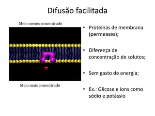 Difusão facilitada
• Proteínas de membrana
(permeases);
• Diferença de
concentração de solutos;
• Sem gasto de energia;
• Ex.: Glicose e íons como
sódio e potássio
Meio menos concentrado
Meio mais concentrado
 