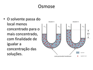 Osmose
• O solvente passa do
local menos
concentrado para o
mais concentrado,
com finalidade de
igualar a
concentração das
soluções.
 